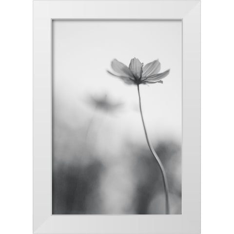 An Ordinary Dream White Modern Wood Framed Art Print by Ghosh, Udayan