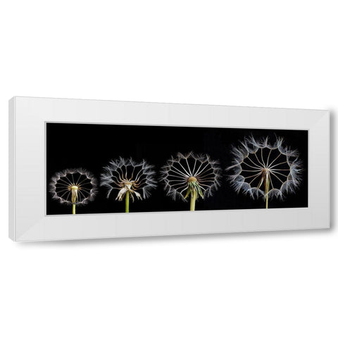 Family Portrait White Modern Wood Framed Art Print by Lionse, Art