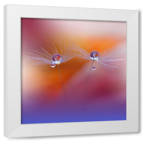 Two Worlds White Modern Wood Framed Art Print by Nan, Juliana