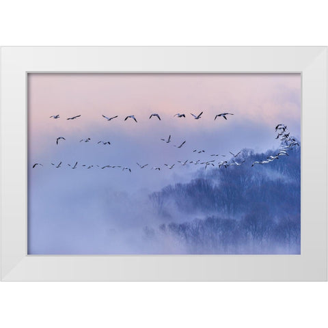 Poems And Dreams (Em?A??Ei?Ae?Andsup1;) White Modern Wood Framed Art Print by Li, Austin