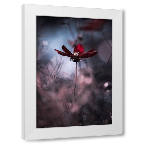 Tenue De Soirace White Modern Wood Framed Art Print by Bravin, Fabien