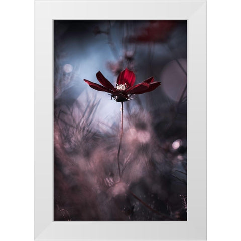 Tenue De Soirace White Modern Wood Framed Art Print by Bravin, Fabien