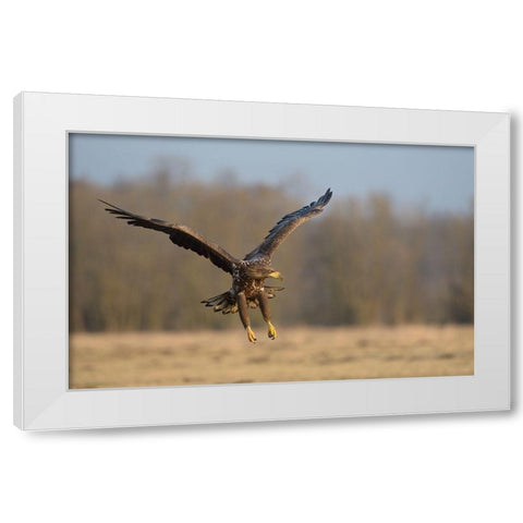 3D White Modern Wood Framed Art Print by Rayco