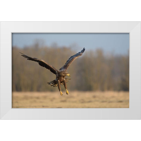 3D White Modern Wood Framed Art Print by Rayco