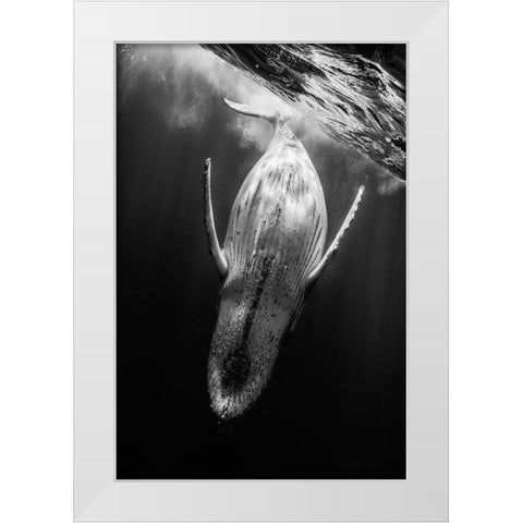 Black A Whale White Modern Wood Framed Art Print by Gabriel, Barathieu