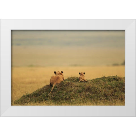 One Day It Will Be Yours White Modern Wood Framed Art Print by Mei, Massimo