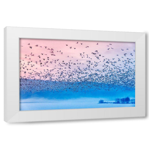 Flying In The Fogging Morning White Modern Wood Framed Art Print by Li, Rob