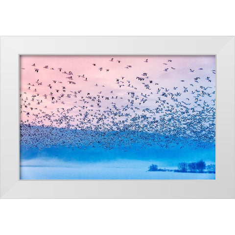 Flying In The Fogging Morning White Modern Wood Framed Art Print by Li, Rob