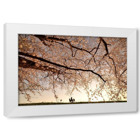 Way Back White Modern Wood Framed Art Print by Takanobu, Kano
