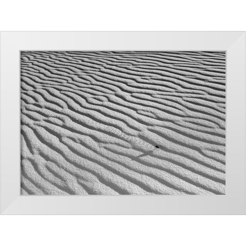 The Long Journey White Modern Wood Framed Art Print by Skilbeck, Christian