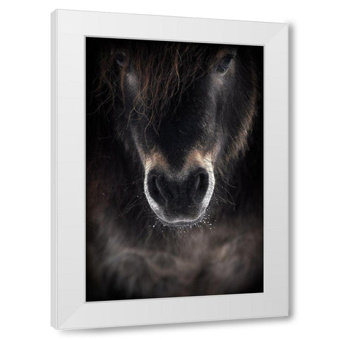 Ulysses White Modern Wood Framed Art Print by Ri, P