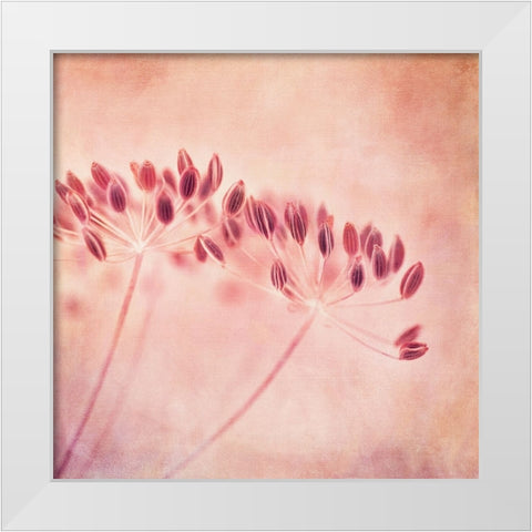 ILl Wait All Winter White Modern Wood Framed Art Print by Wettstein, Priska