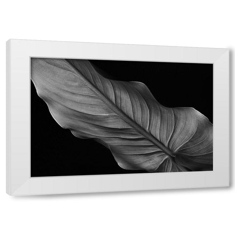 Female White Modern Wood Framed Art Print by Pascual Buye, Santiago