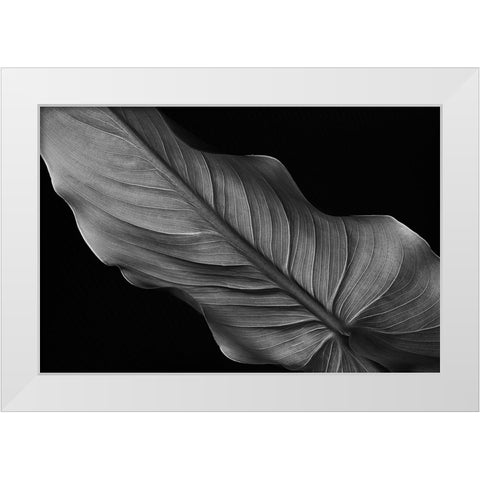 Female White Modern Wood Framed Art Print by Pascual Buye, Santiago