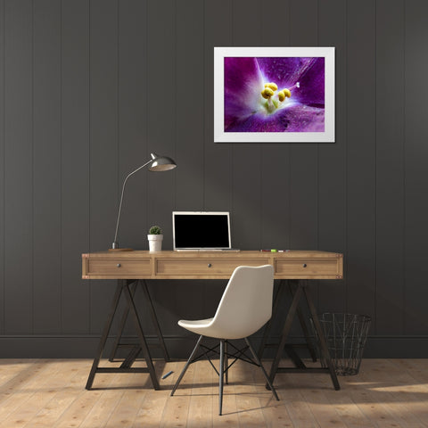 Violet White Modern Wood Framed Art Print by Markovic, Vojislav