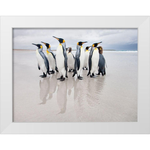 Bodyguard White Modern Wood Framed Art Print by Gil Raga, Joan