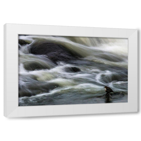 Flowing Contemplation White Modern Wood Framed Art Print by Ostlund, Arne