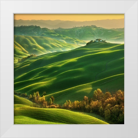 Mucigliani... White Modern Wood Framed Art Print by Browko, Krzysztof