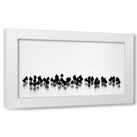 Eurasian Coots White Modern Wood Framed Art Print by Vasilev, Yordan