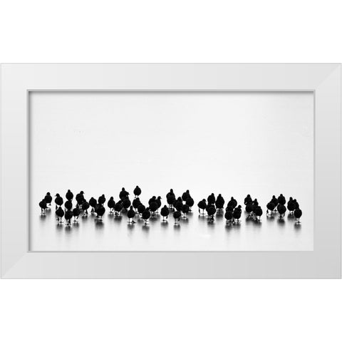 Eurasian Coots White Modern Wood Framed Art Print by Vasilev, Yordan