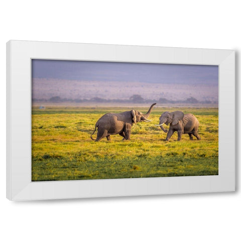 Ill Teach You White Modern Wood Framed Art Print by Taylor, Ted