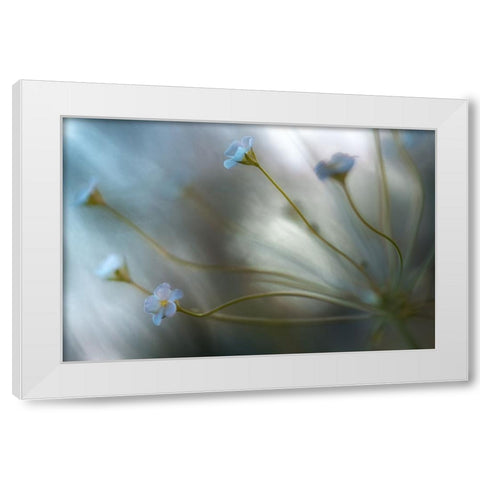 Jasmine White Modern Wood Framed Art Print by Disher, Mandy