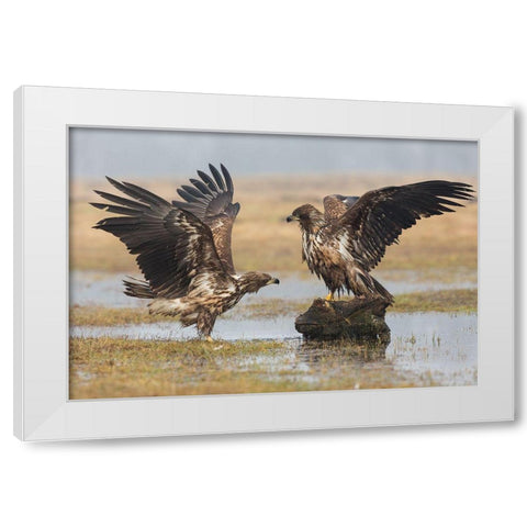 Open Wings White Modern Wood Framed Art Print by Ferretto, Fabio