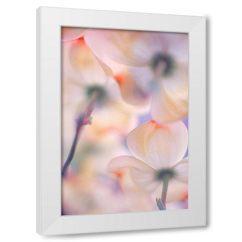 Under The Skirts Of Flowers White Modern Wood Framed Art Print by Casanova, Francois