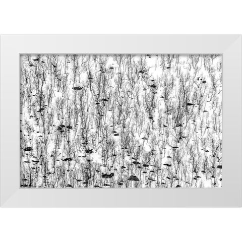 Little Trees White Modern Wood Framed Art Print by Ghesquiere, Hilde