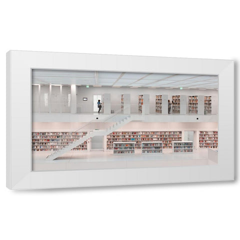 In The Library, 2014 White Modern Wood Framed Art Print by Martin Doelz, Hans