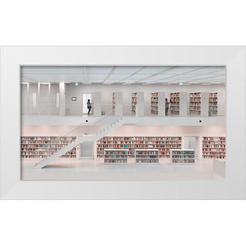 In The Library, 2014 White Modern Wood Framed Art Print by Martin Doelz, Hans