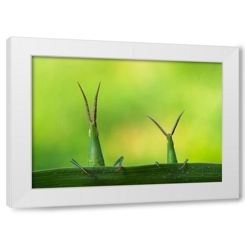 Macro White Modern Wood Framed Art Print by Kamran, Mehdi