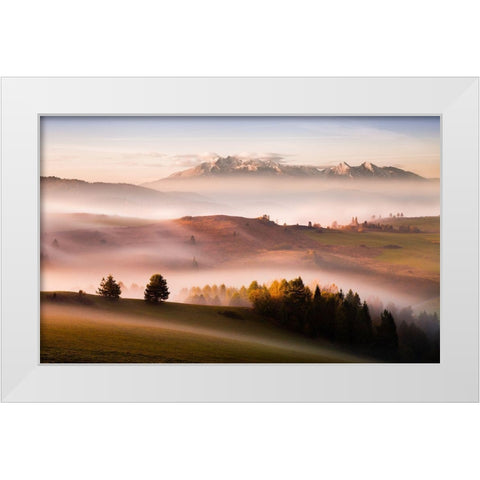 Just A Silence White Modern Wood Framed Art Print by Svoboda Mqep, Peter