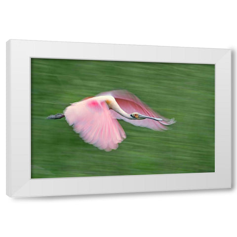 Pink And Green White Modern Wood Framed Art Print by Chang, Cheng