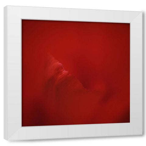 All Red White Modern Wood Framed Art Print by Gronkjar, Lotte