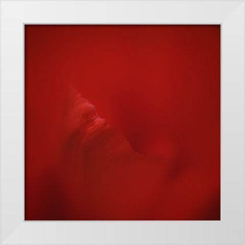 All Red White Modern Wood Framed Art Print by Gronkjar, Lotte