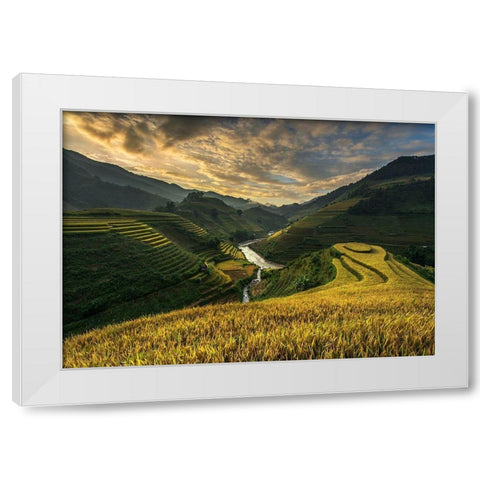 Riceterrace ( Vietnam) White Modern Wood Framed Art Print by Intarob, Sarawut