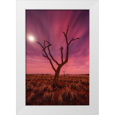 Magic Moments White Modern Wood Framed Art Print by Hoffmann, Raymond