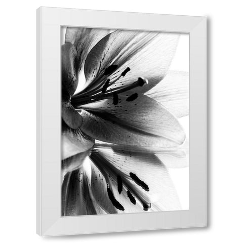 Lily White Modern Wood Framed Art Print by Koenig, Andre