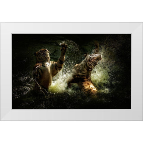Fighting White Modern Wood Framed Art Print by Bunjamin, Antonyus