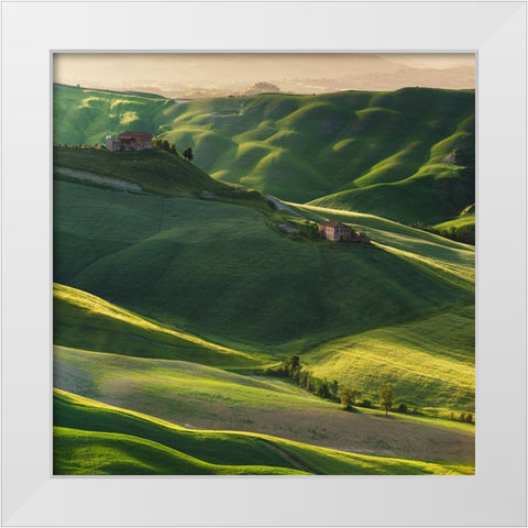 Green Square White Modern Wood Framed Art Print by Pawlak, Jarek