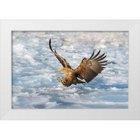 Coming White Modern Wood Framed Art Print by Mei, C.