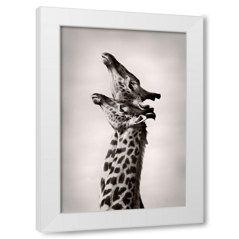 True Love White Modern Wood Framed Art Print by WildPhotoArt
