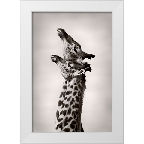 True Love White Modern Wood Framed Art Print by WildPhotoArt