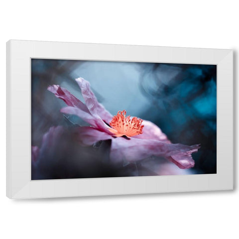 Even Flowers Have Stories To Tell White Modern Wood Framed Art Print by BRAVIN, Fabien