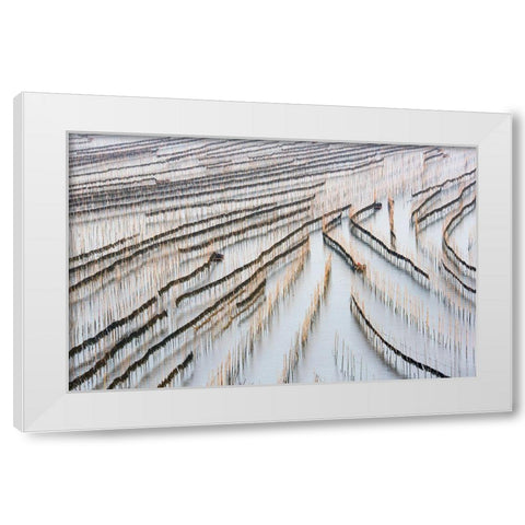 Harvesting Kelp White Modern Wood Framed Art Print by Zhou, Xinhua