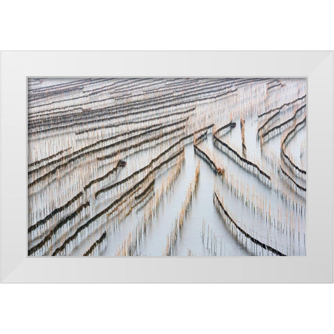 Harvesting Kelp White Modern Wood Framed Art Print by Zhou, Xinhua