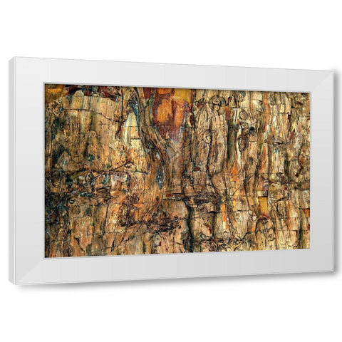 Bark White Modern Wood Framed Art Print by Kravanja, Jure