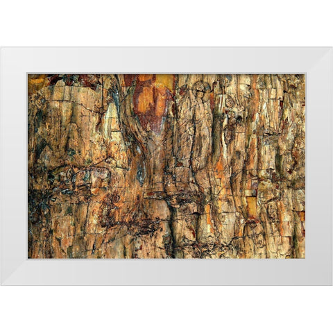 Bark White Modern Wood Framed Art Print by Kravanja, Jure
