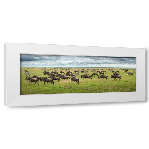 Great Migration In Serengeti Plains White Modern Wood Framed Art Print by Trubitsyn, Kirill